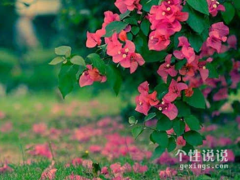 有深度有品位的經(jīng)典說說（44條）