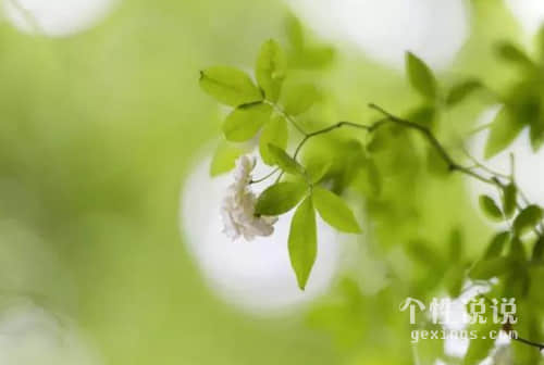 2019深入人心的經(jīng)典說(shuō)說(shuō)（54條）