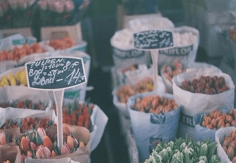 關(guān)于在磨礪中成長的經(jīng)典說說：一個人最大的破產(chǎn)是絕望，最大的資產(chǎn)是希望