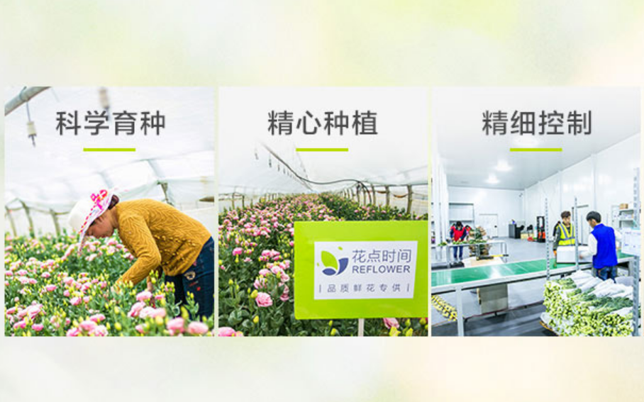 看上去很美的花店生意，為什么成了創(chuàng)業(yè)黑洞｜七夕生意經(jīng)