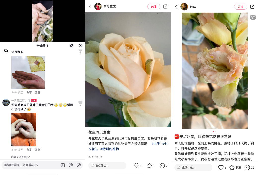 看上去很美的花店生意，為什么成了創(chuàng)業(yè)黑洞｜七夕生意經(jīng)