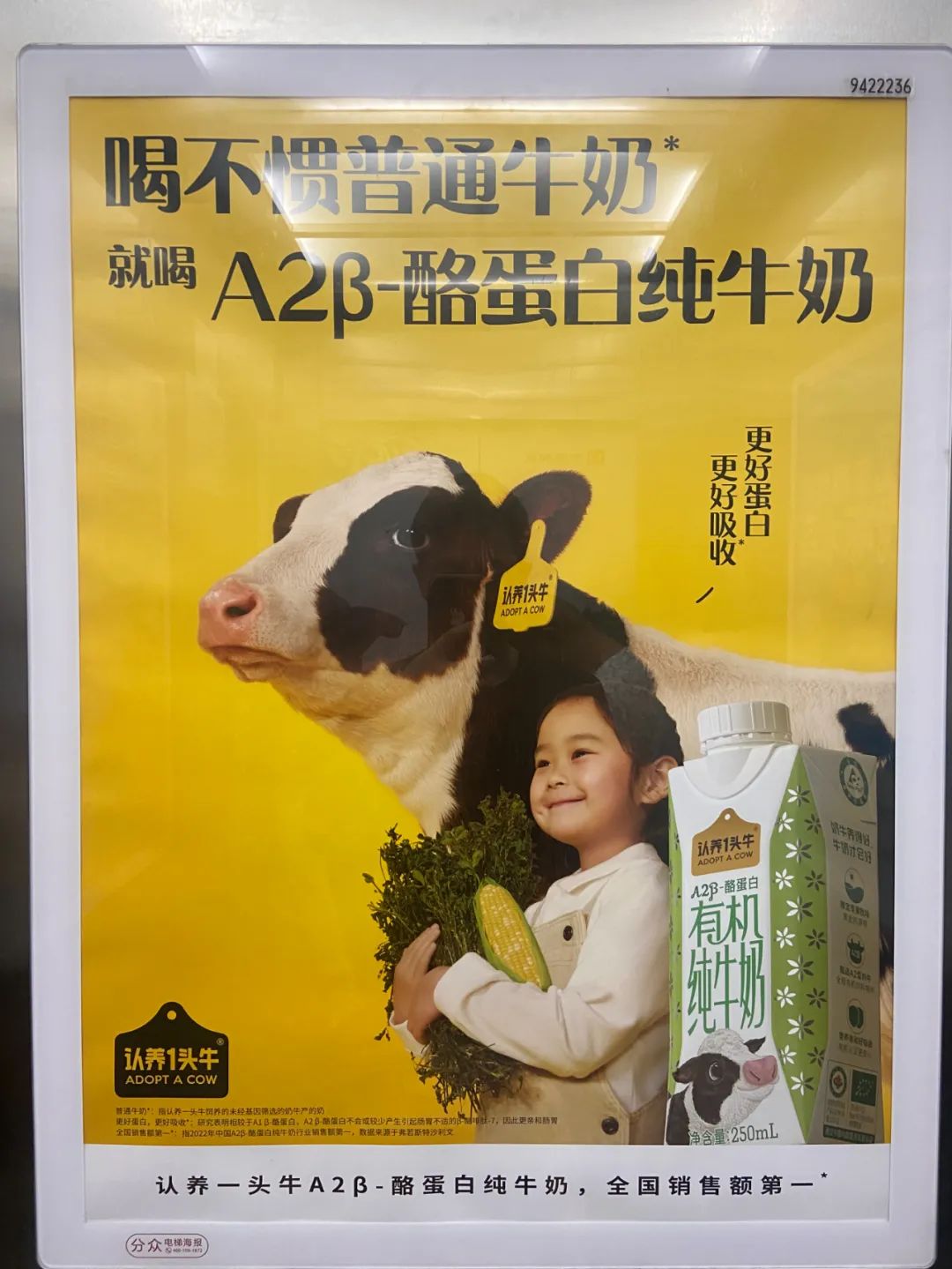 好文案不在公眾號(hào)里 好文案不在公眾號(hào)里