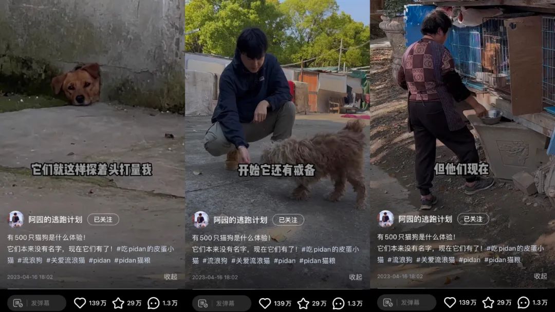 兩條廣告點(diǎn)贊破100萬，他是2023年的爆款制造機(jī)