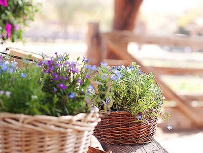 我能夠裝傻，但別以為我真傻