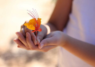 秋風(fēng)颯颯，是誰遺忘了幸福的方向