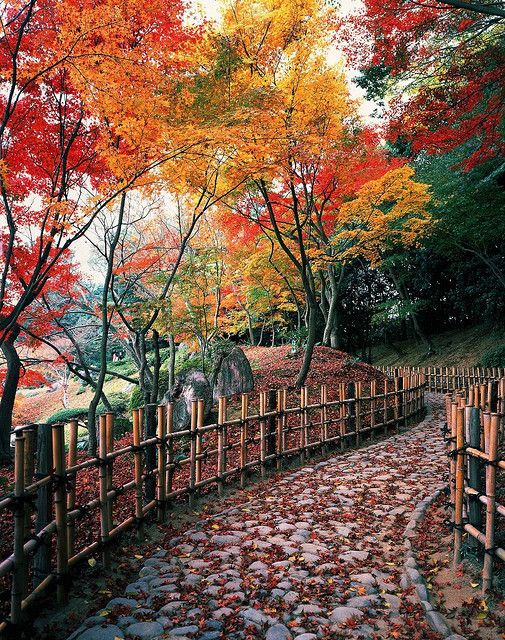 經(jīng)典說說 十一月，愿我們都好