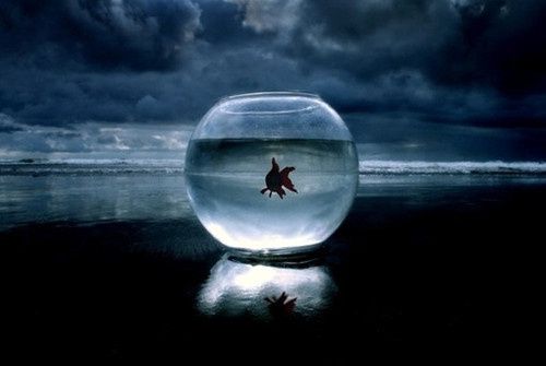 心累說說 生活從未變得輕松，是你在一點(diǎn)一點(diǎn)變得堅(jiān)強(qiáng)