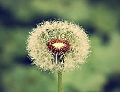 告別2019年喜迎2020年的經典說說大全