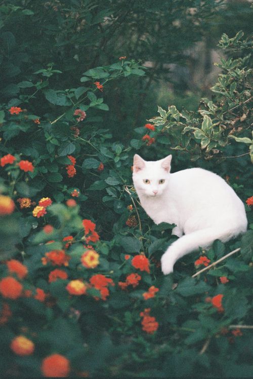 經(jīng)典說說 守住內(nèi)心的風(fēng)景，聆聽歲月的腳步