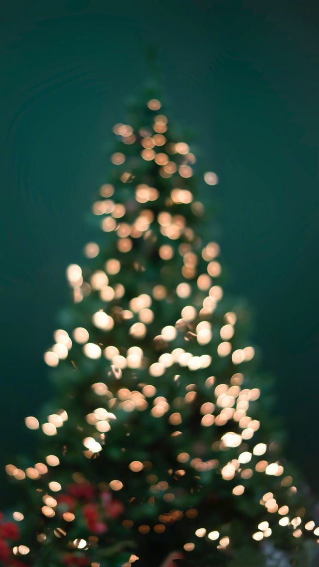 關(guān)于平安夜圣誕節(jié)的說(shuō)說(shuō)句子