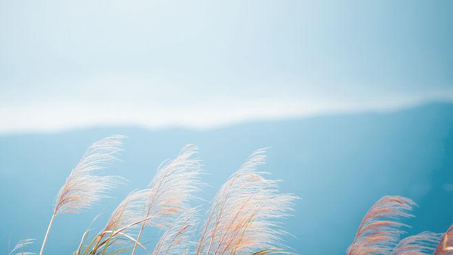 說(shuō)說(shuō)心情短語(yǔ) 能錯(cuò)過(guò)是福氣，遇見(jiàn)也是