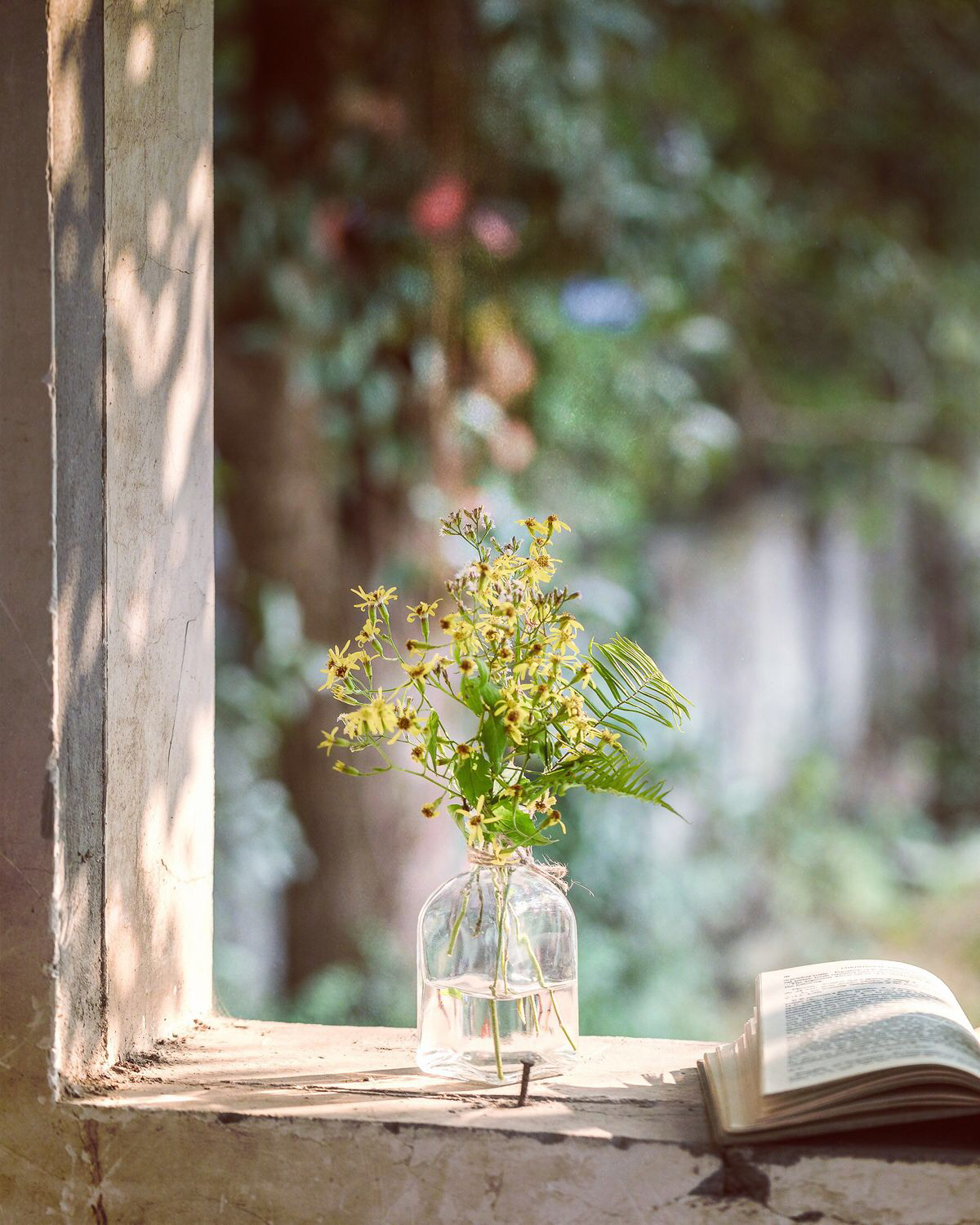 朋友圈說說心情短語  幸?；蛟S會遲到， 但永遠不會缺席