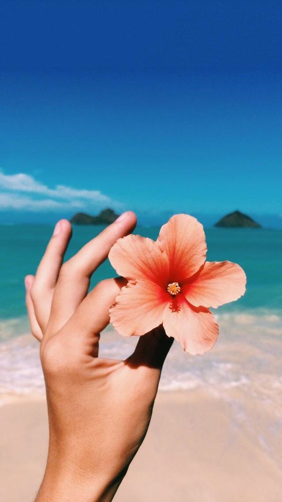 qq個(gè)性說(shuō)說(shuō)心情短語(yǔ) 人生，就是你一個(gè)人的人生