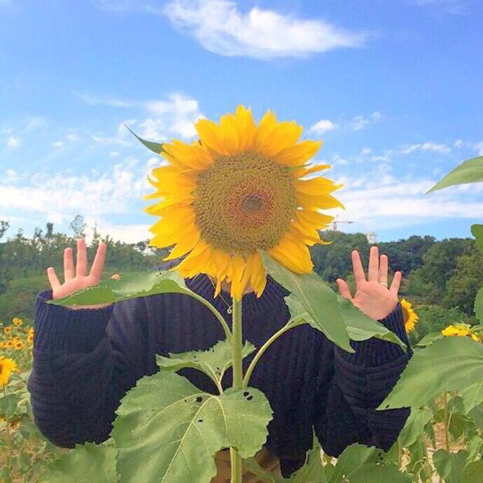 說說傷感心情短語:期待，是所有心痛的根源