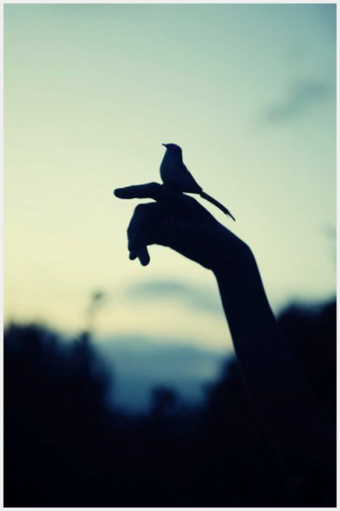 傷感說說心情短語 適合深夜發(fā)朋友圈的句子