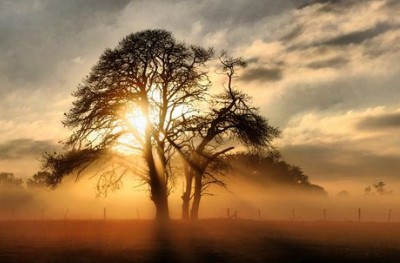 令人驚艷的微信狀態(tài)文案