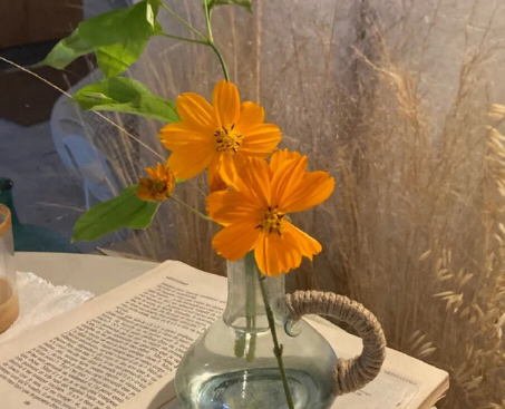 最觸動人心的句子 這個社會沒有對與錯，只有強(qiáng)與弱