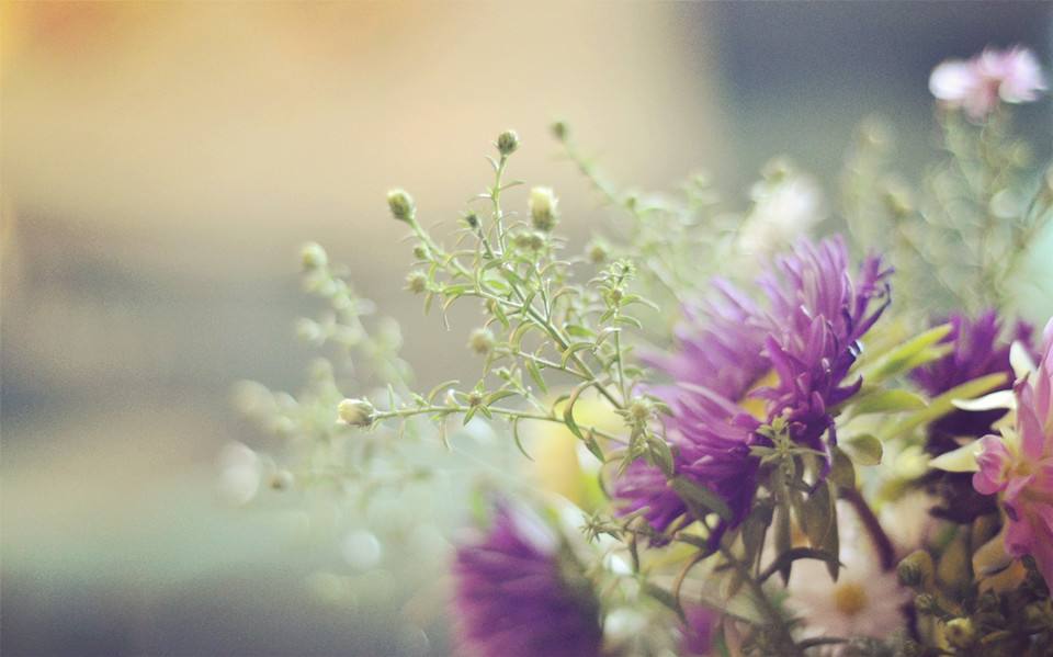 人生道路上的哲理大全：路還長，天總會亮