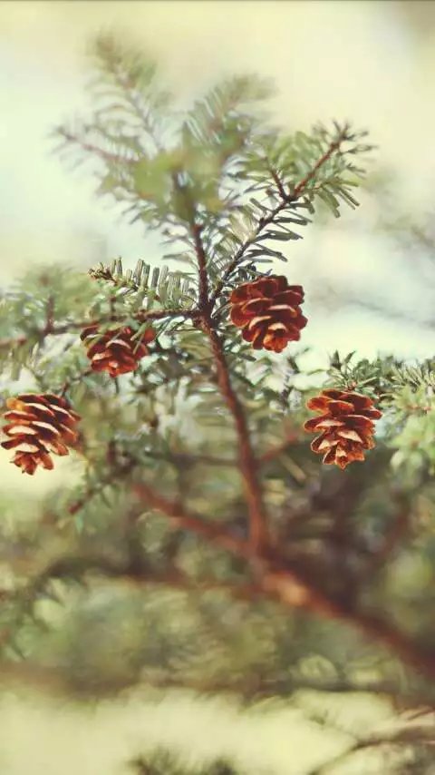 句句走心的經(jīng)典語(yǔ)錄 任何不快樂(lè)的時(shí)光都是浪費(fèi)