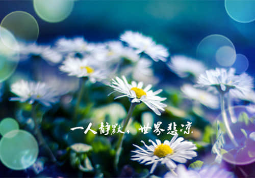 人生無奈的傷感說說：舊時光總讓人懷念，但人總要向前看
