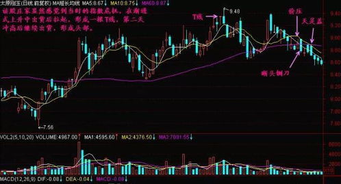 股票入門基礎知識t1
