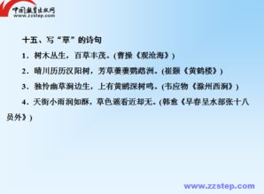 語(yǔ)文基礎知識及應用教案