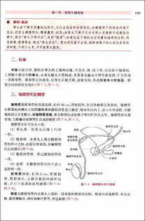 職業(yè)測試人體解剖學(xué)基礎知識