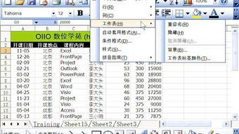 excel2007基礎(chǔ)知識大全