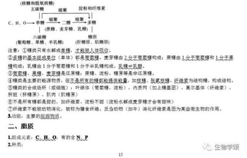 人體與性基礎知識—結業(yè)論文