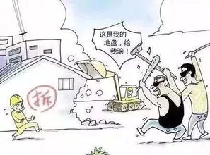 景區(qū)掃黑除惡基礎(chǔ)知識(shí)信息