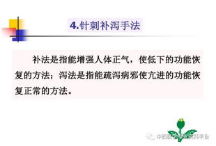 針名基礎(chǔ)知識