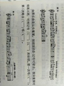 樂(lè )理,記號,省略,基礎知識