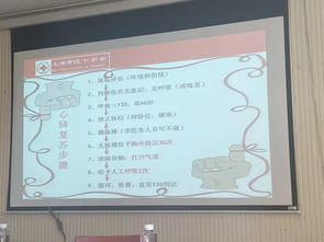 急救,基礎(chǔ)知識,培訓(xùn)計劃