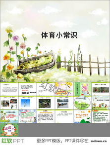 基礎(chǔ)知識,體育,ppt