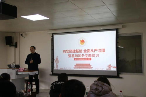 基礎團務(wù)知識專(zhuān)題培訓