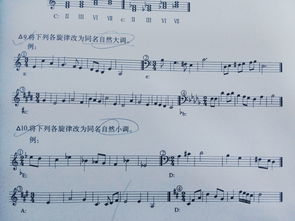 樂(lè )理,伴奏,基礎知識,純音樂(lè )