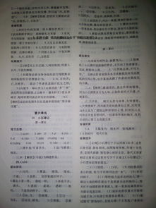 基礎知識,八級,語(yǔ)文,答案