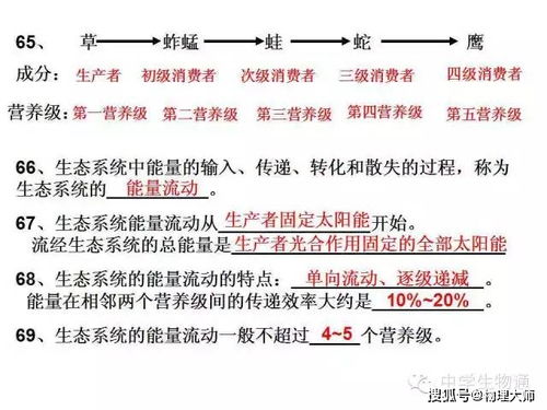 高中生物課本基礎知識百度文庫