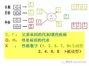 數字能量表基礎知識