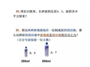 六下比例基礎知識