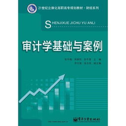 基礎審計學(xué)基礎知識