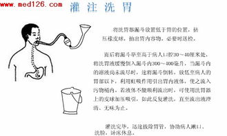 基礎護理學重點知識歸納,基礎護理學知識點歸納,基礎護理學知識試題及答案