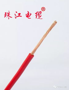 珠江電線(xiàn)電纜財務(wù)基礎知識試題