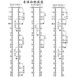 二胡入門(mén)基礎知識,二胡樂(lè )譜基礎知識,二胡樂(lè )理基礎知識