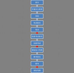 駕駛證,基礎知識