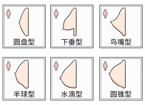 女性生理基礎知識