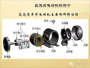 機械設計電機基礎知識