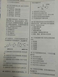藥師考試試題基礎(chǔ)知識(shí)