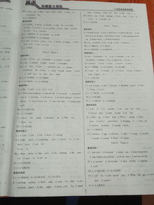 八級英語(yǔ)基礎知識組合訓練答案