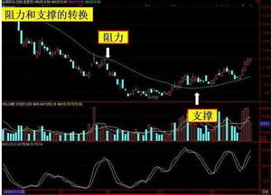 劉博倫均線(xiàn)基礎知識